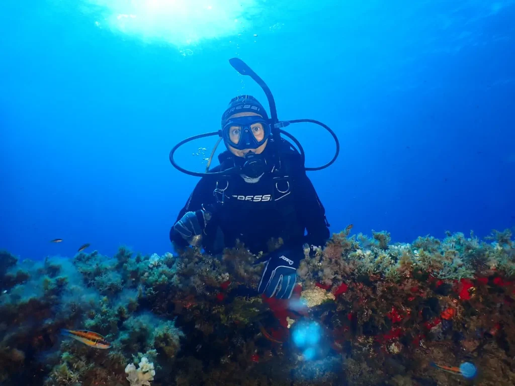Buceador explorando arrecife en Illa Murada durante inmersión en Ibiza