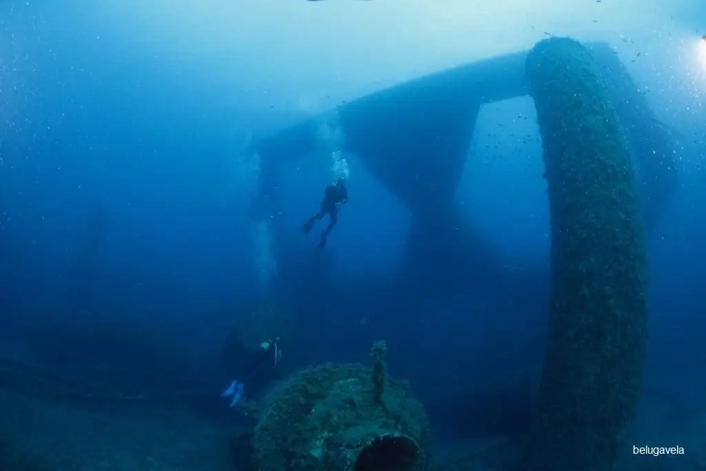 Restos de estructura submarina durante buceo en Plataforma