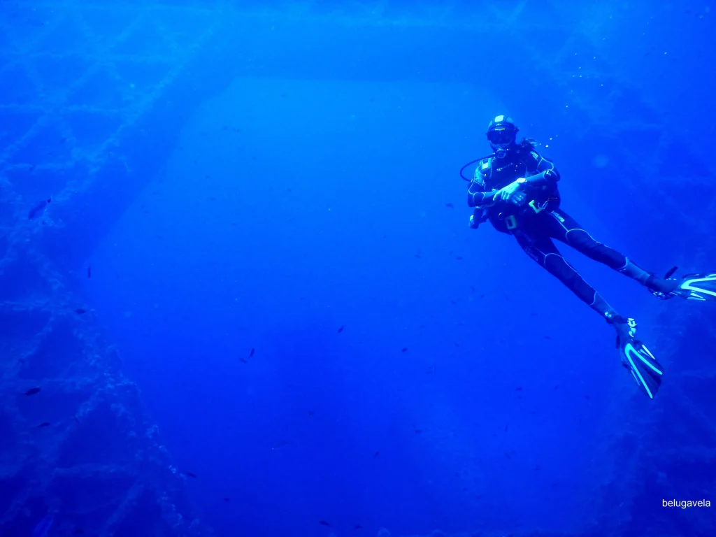 Buceador explorando el fondo marino en la Plataforma de Ibiza