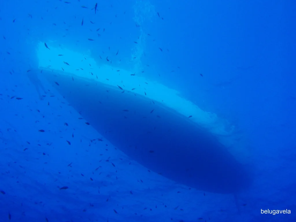 Gran estructura submarina visible durante buceo en Plataforma