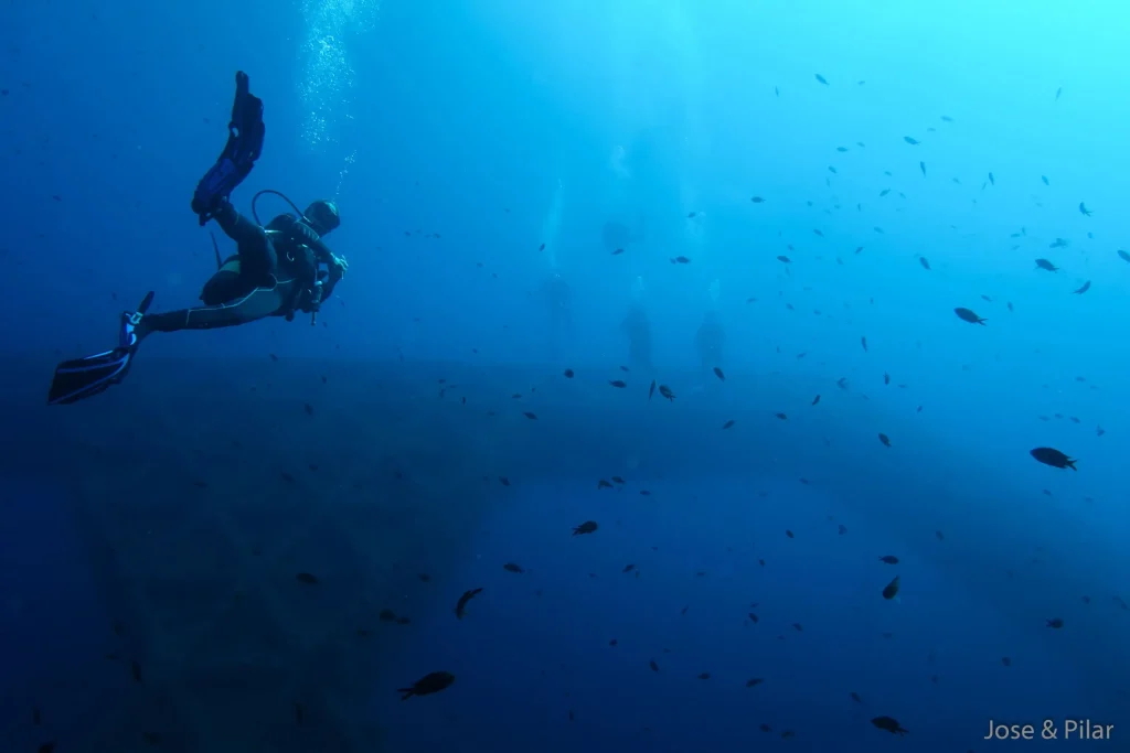 Estructura principal de la Plataforma vista bajo el agua