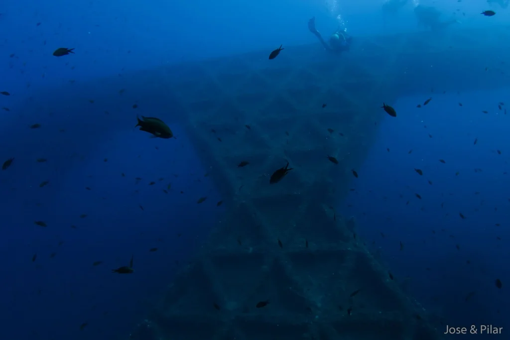 Restos de estructura submarina durante buceo en Plataforma