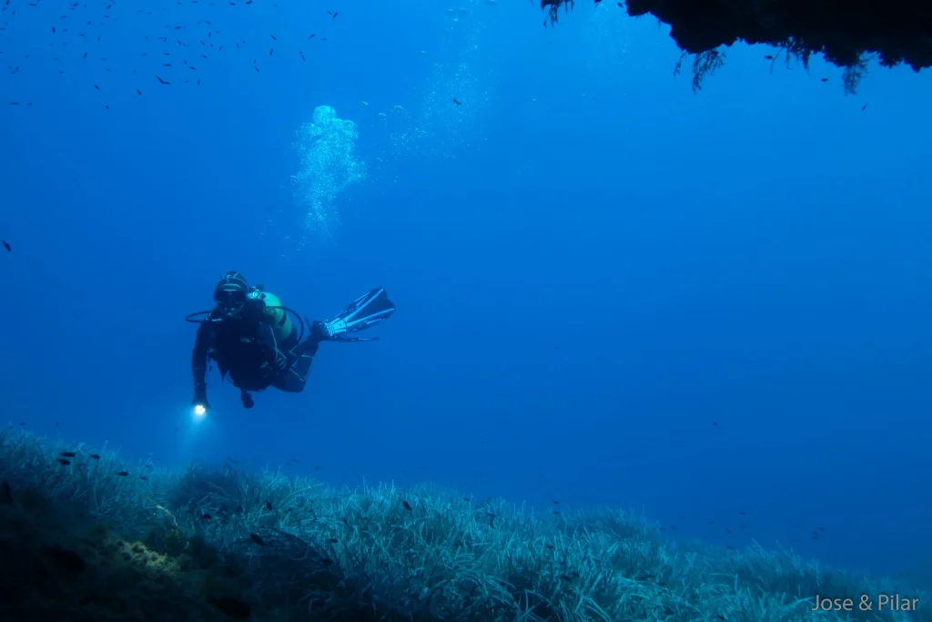 Buceador explorando fondo marino en Punta Gavina durante inmersión profunda
