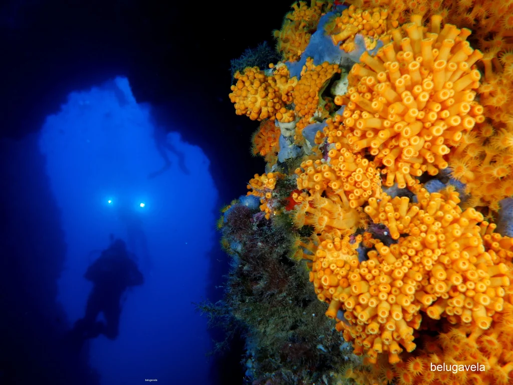 Cañones submarinos de Es Vedranell con formaciones naturales