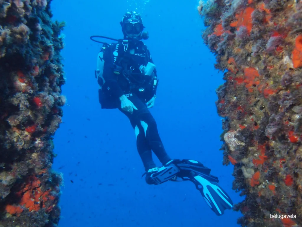Buceo en los cañones de es vedranell ibiza paredes submarinas profundas