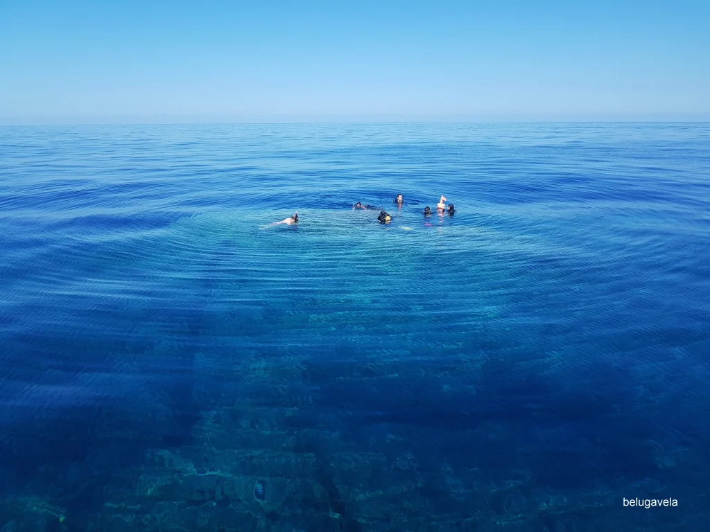 Zona de inmersión en mar abierto en La Bota Ibiza con buceadores