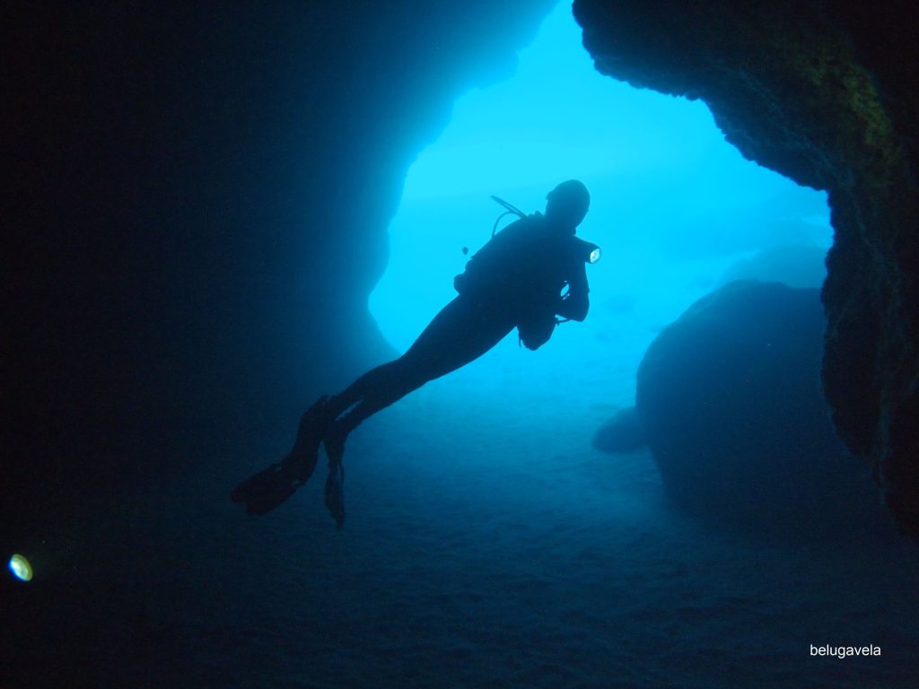 Silueta de buceador en cueva marina con luz natural en Punta Rasa